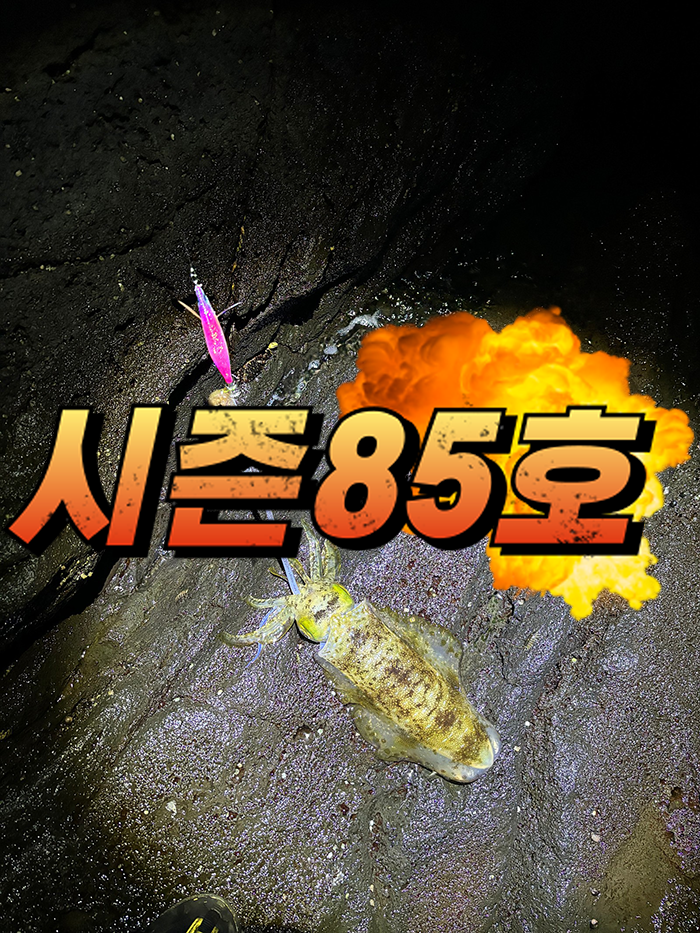 d727ad3fb492248d6b00ddfdc7399eee_1715383964_1947.png